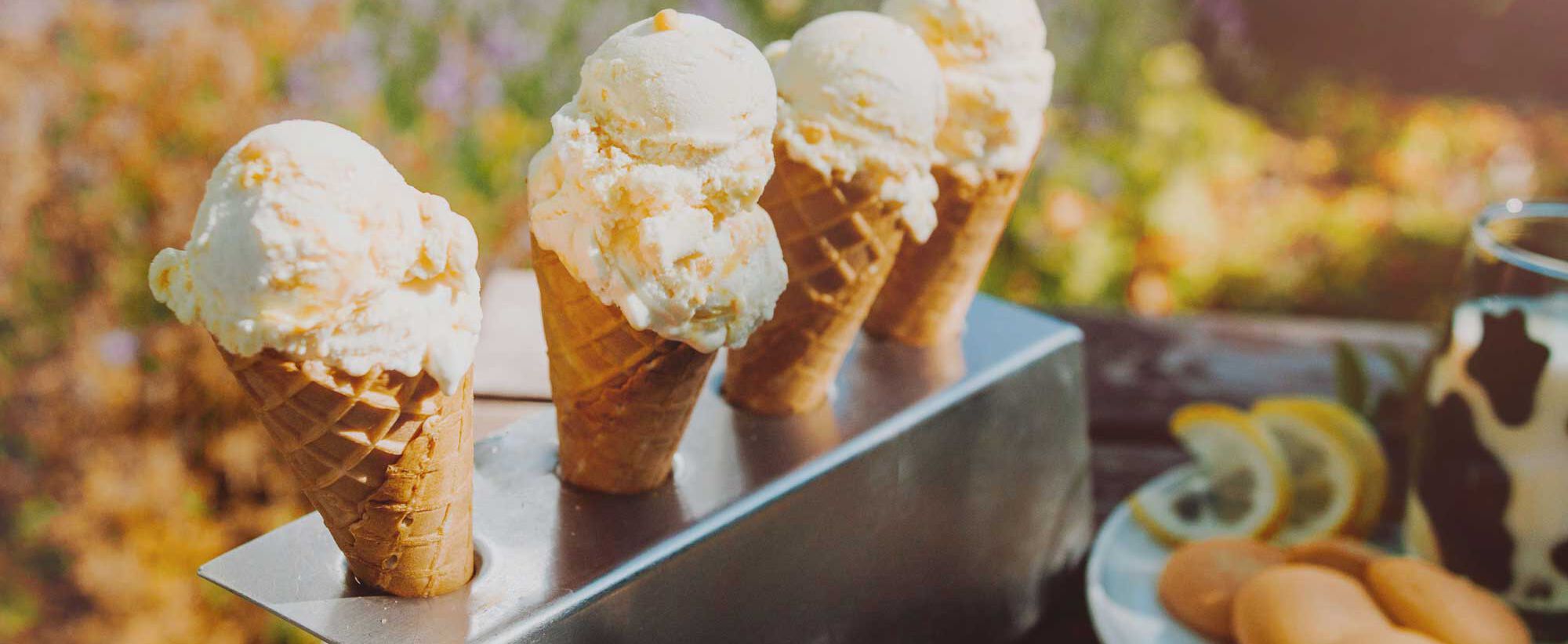 Kuhtipp der Woche - Buttermilch Zitronenkeks