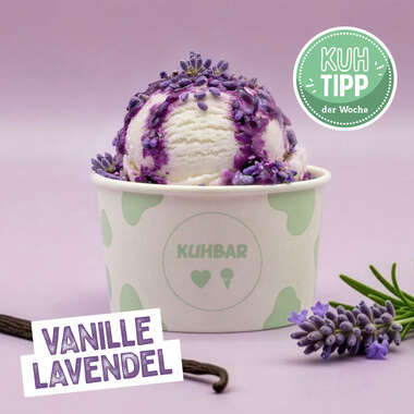 Kuhtipp der Woche