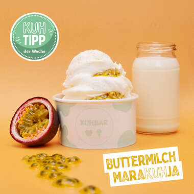 Kuhtipp der Woche